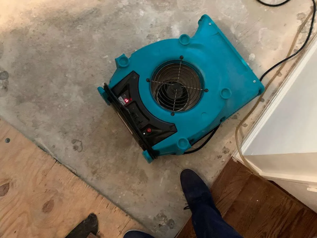 Air mover drying subfloor during Leak Detection & Repair in White